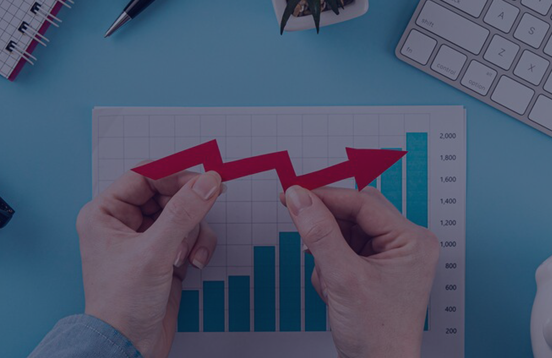 Ingresos Máximos SAS 2020