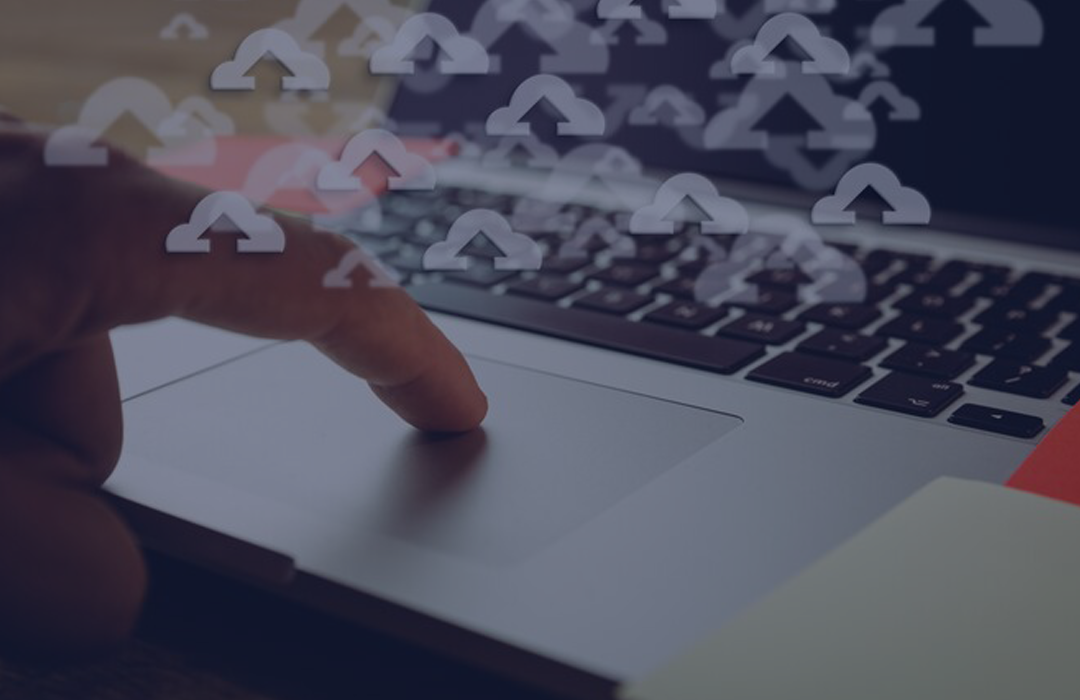 Actualización de datos de socios y accionistas
